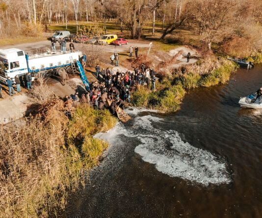 Впервые за сто лет произошло зарыбление Южного Буга: в реку выпустили почти 5 тонн мальков