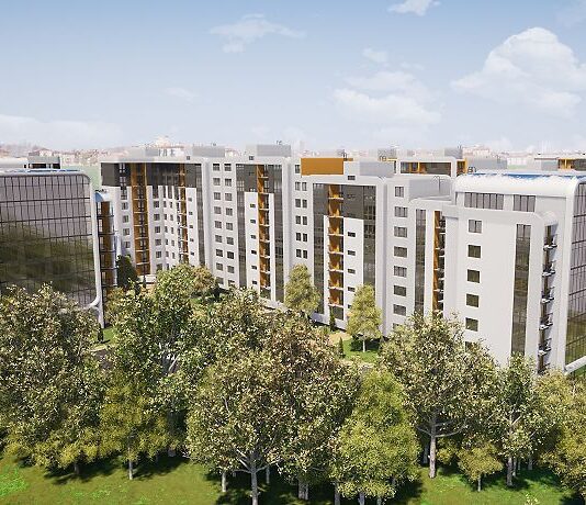 Озеленение Барского шоссе: быть или не быть?