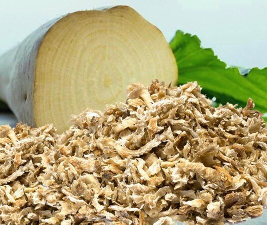 В Винницкой области строят биогазовую станцию под свекольный жом