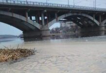 Південний Буг заплив жовтою піною: чи є небезпека?