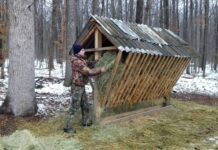 Вінницькі лісівники підгодовують диких тварин