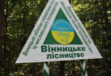 Вінницькі лісівники виконали комплекс весняних лісокультурних та лісозахисних заходів