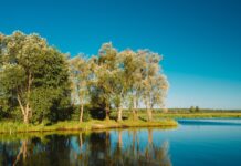 Поради, які допоможуть зберегти довкілля