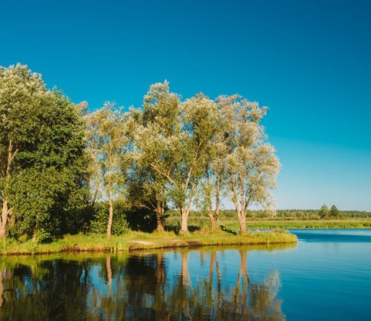 Советы, которые помогут сохранить окружающую среду