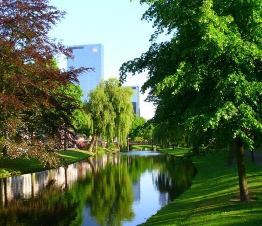 Экологически чистые города: к чему стоит стремиться Виннице?