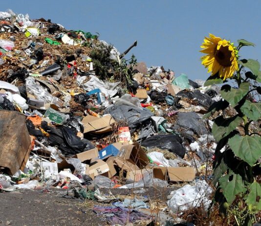 Как в Виннице не борются с мусором? Подходе и принципы правильного отношения к загрязнению