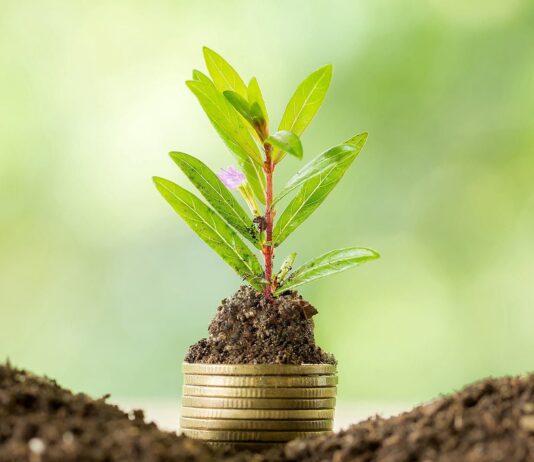 Как предприниматели могут побудить винничан к экологичности 1