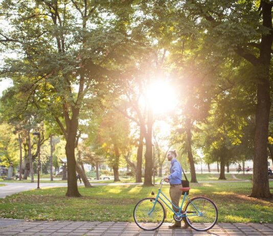 Эко-платформа GreenSpaces в Виннице 1