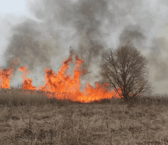 Оранжевый шут. В Виннице снова началось возгорание сухой растительности