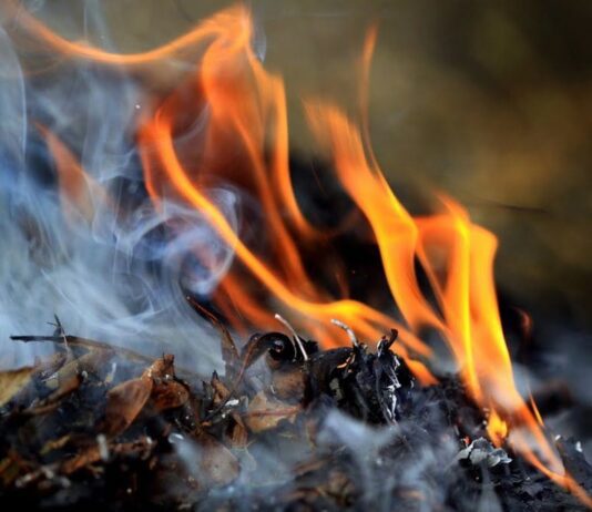 В Виннице начали штрафовать «поджигателей» листья