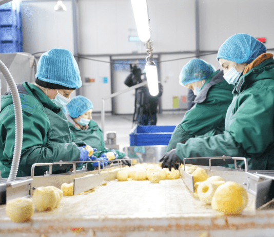 Как в Виннице перерабатывают фрукты и ягоды