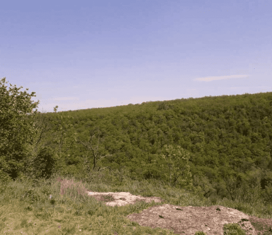 История урочища «Княгиня»