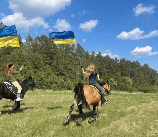 Как винничанка приютила лошадей после бомбардировки Киевской области
