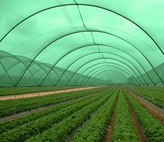 Как винничанам выбрать сетку затеняющую