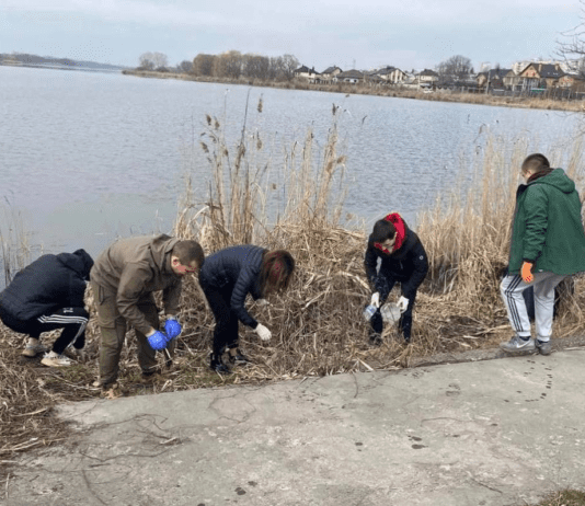 Экологические акции и инициативы города