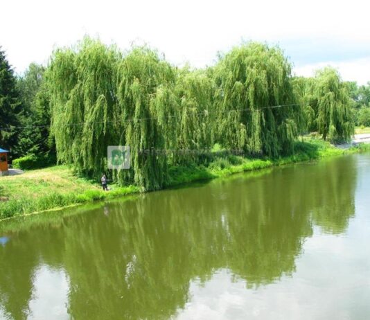 Что происходит с водоемами Винницы