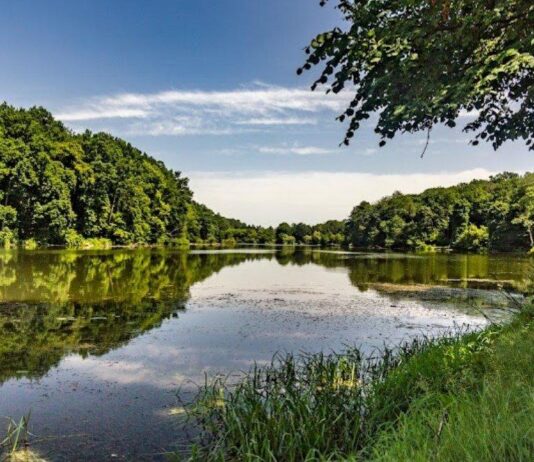 Презентация программы охраны окружающей среды Винницы