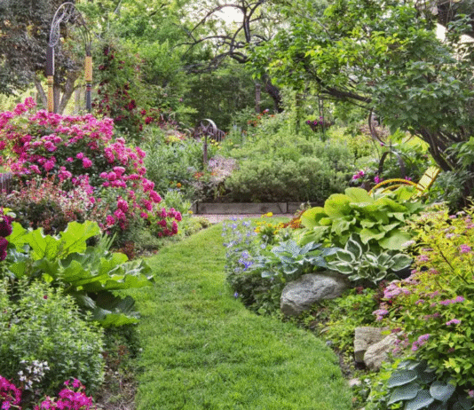 Роскошный сад возле дома: как создать сказочный оазис за несколько шагов